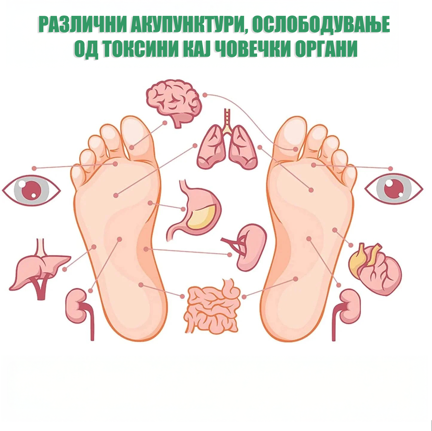 Детокс Фластери за Стапала