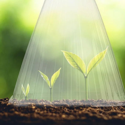 x30 Проѕирни градинарски заштитни фолии