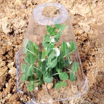 x30 Проѕирни градинарски заштитни фолии